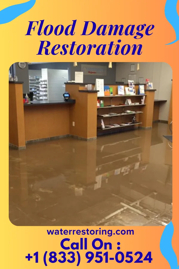 Flood Damage Restoration in Wilderness Rim, WA